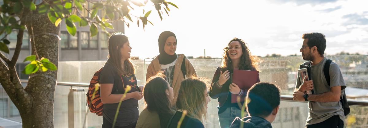 Students standing under a tree talking and laughing