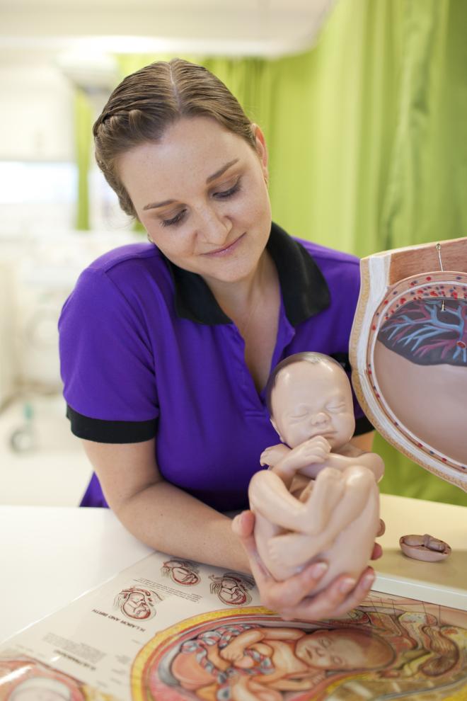 Health midwifery baby model